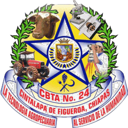 CBTA 24